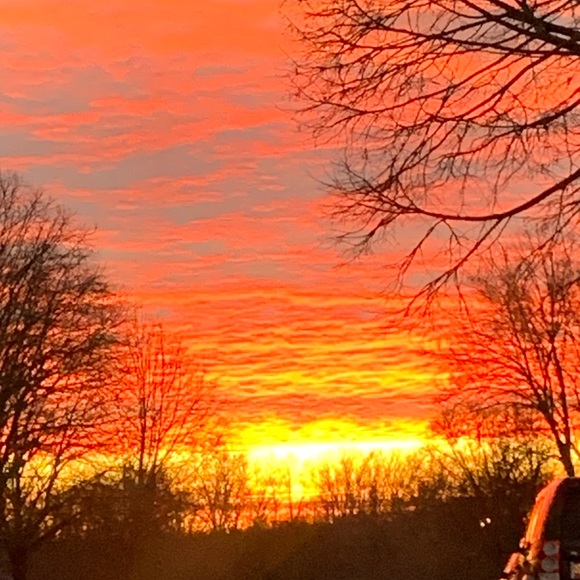 Meet your Posher, Cynthia - Picture 5 of 9